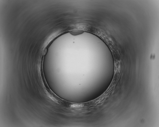 X0000097980051200804071135