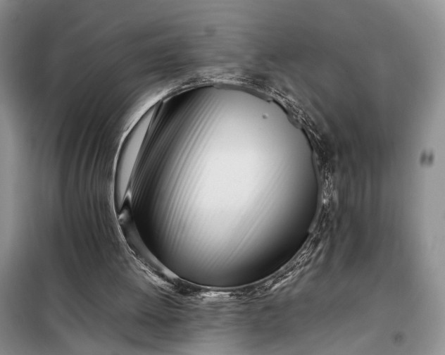 X0000097980052200804071135