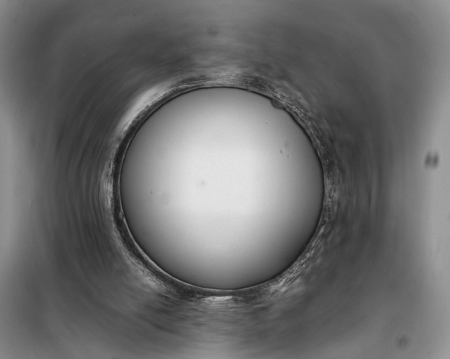 X0000097980054200804071135