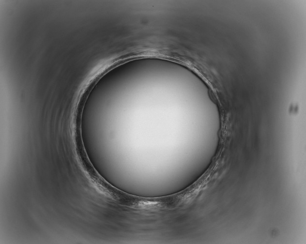 X0000097980055200804071135