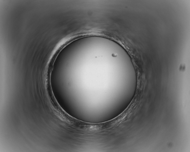 X0000097980056200804071135