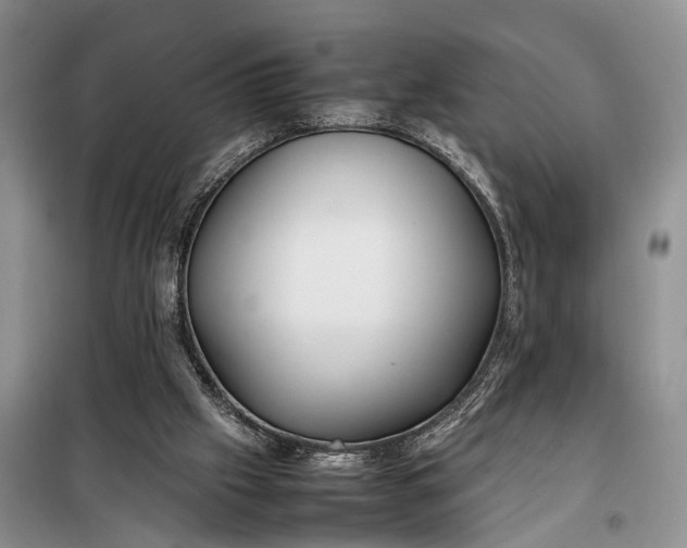 X0000097980057200804071135