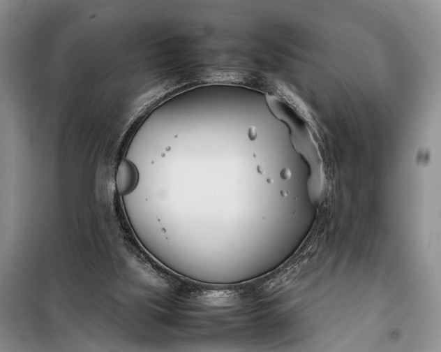 X0000097980059200804071136