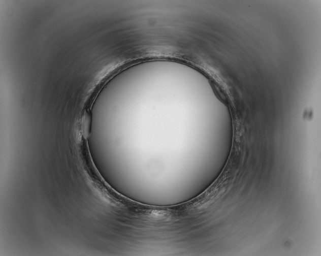 X0000097980060200804071136