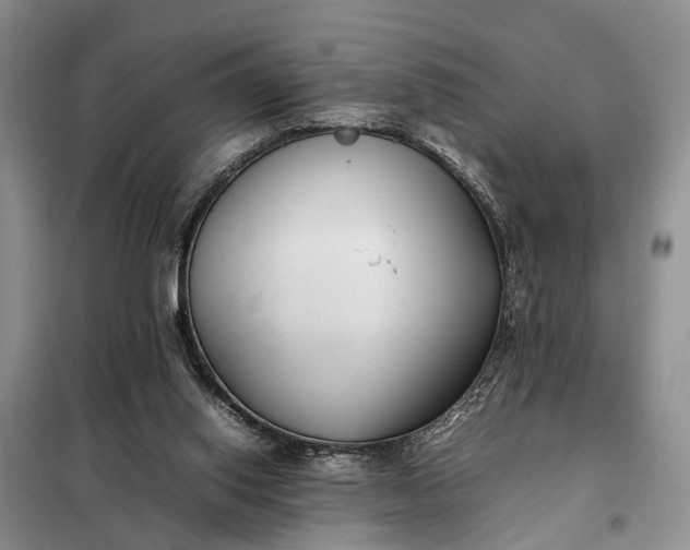 X0000097980062200804071136