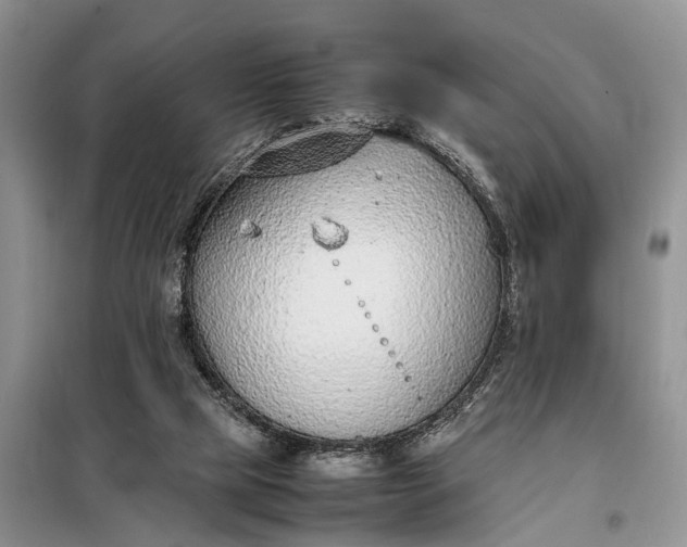 X0000097980065200804071136