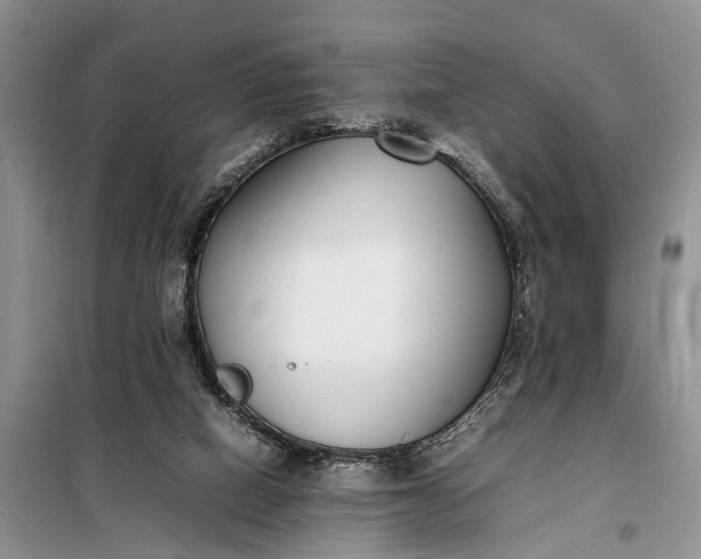 X0000097980066200804071136