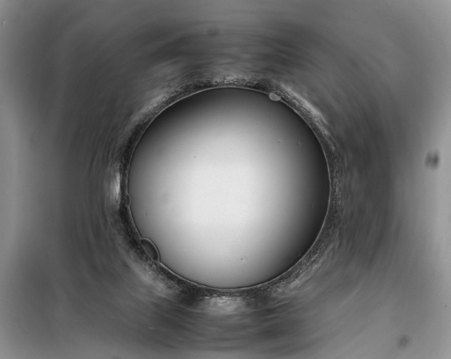 X0000097980067200804071136