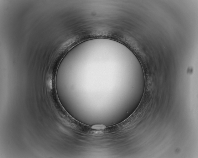 X0000097980068200804071136