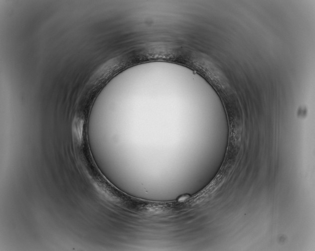 X0000097980070200804071136