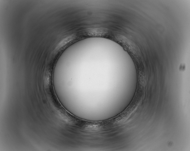 X0000097980071200804071136