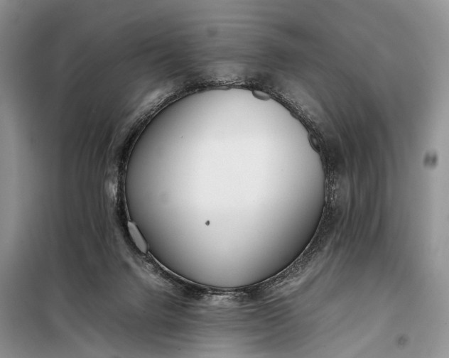 X0000097980072200804071136