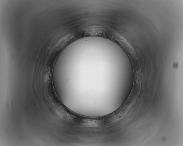 X0000097980073200804071136