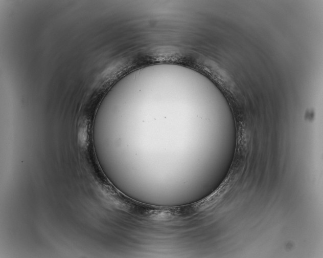 X0000097980074200804071136