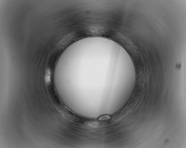 X0000097980075200804071136