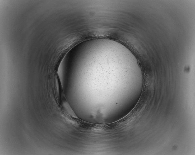 X0000097980076200804071136