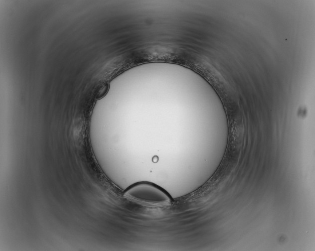 X0000097980079200804071136