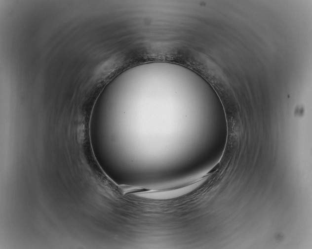 X0000097980080200804071136