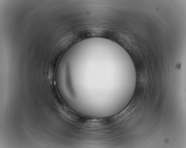 X0000097980082200804071136