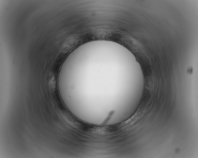 X0000097980086200804071136