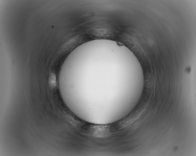 X0000097980089200804071136