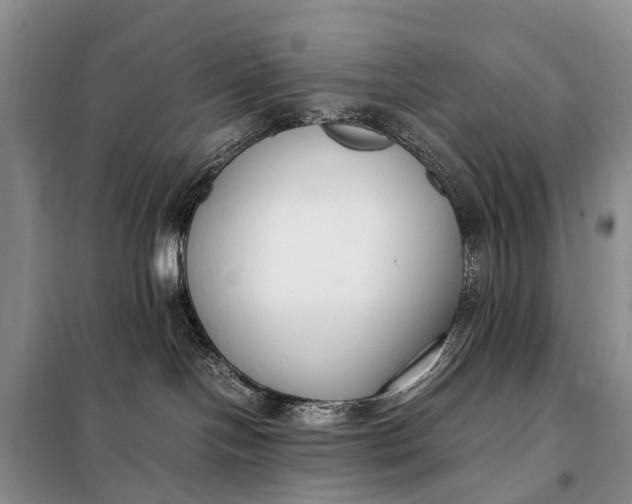 X0000097980094200804071136