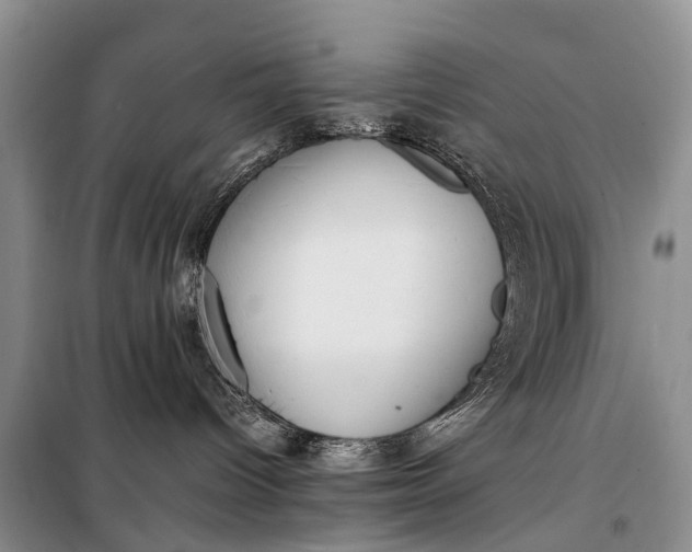 X0000097980096200804071136