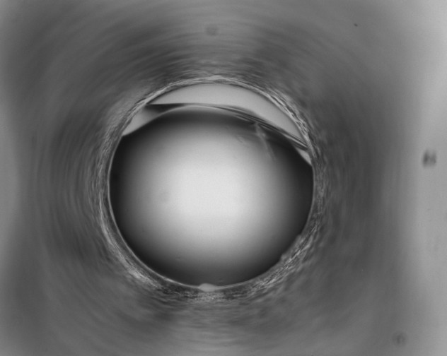 X0000097980097200804071135