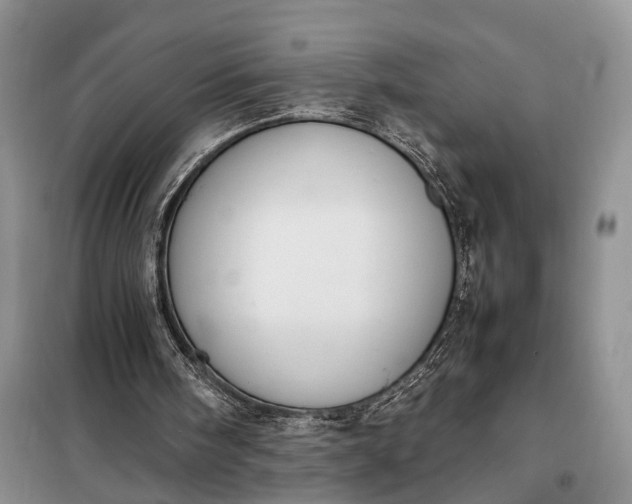 X0000097980098200804071135