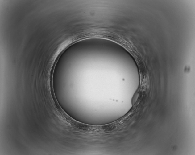 X0000097980099200804071135