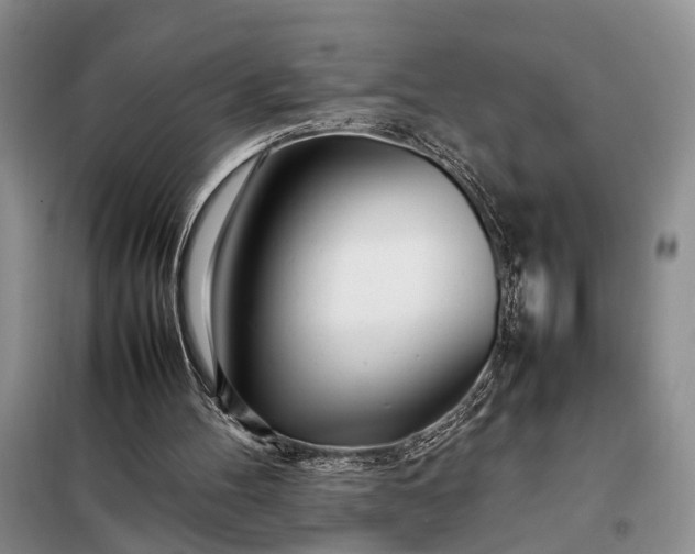 X0000097980100200804071135