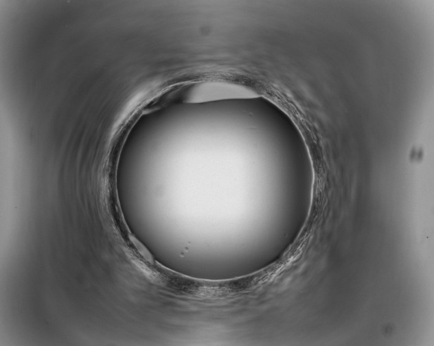 X0000097980101200804071135