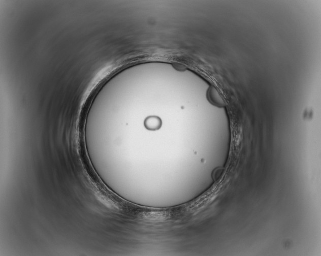 X0000097980102200804071135