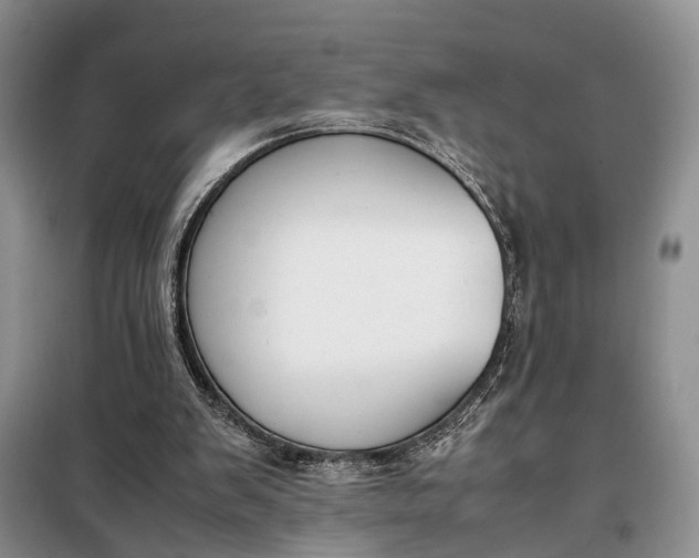 X0000097980103200804071135