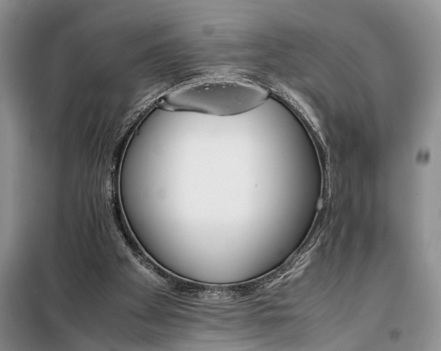 X0000097980105200804071135