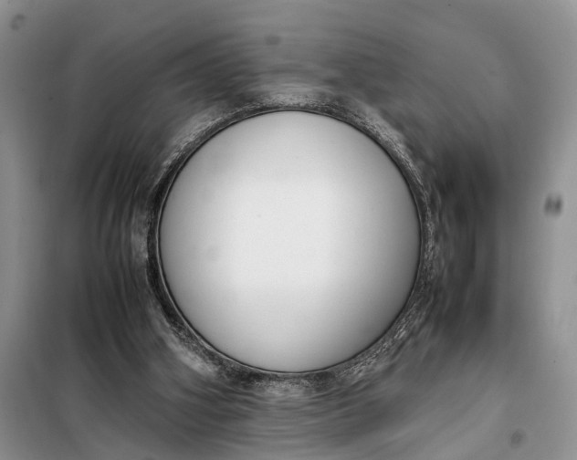 X0000097980106200804071135