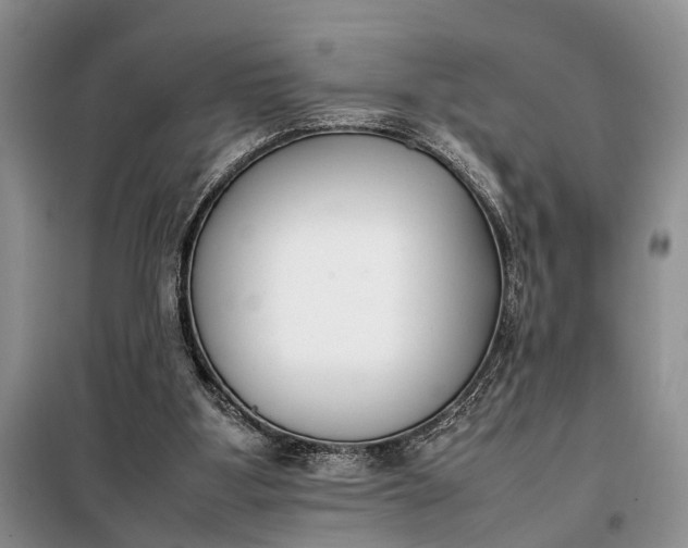 X0000097980107200804071135