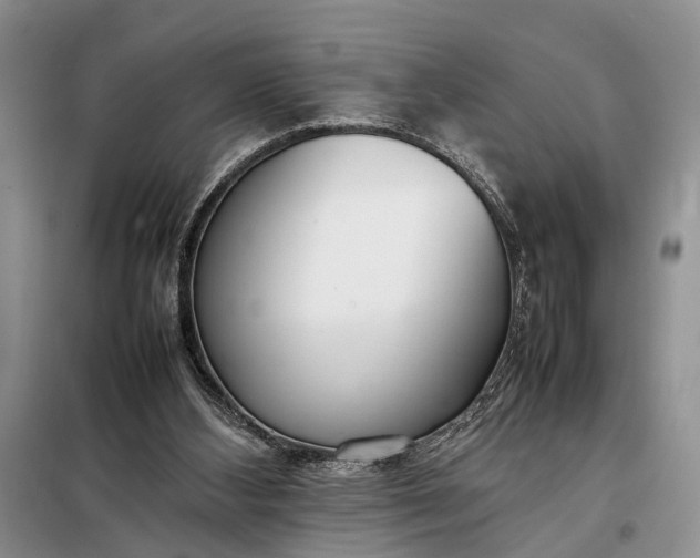 X0000097980108200804071135