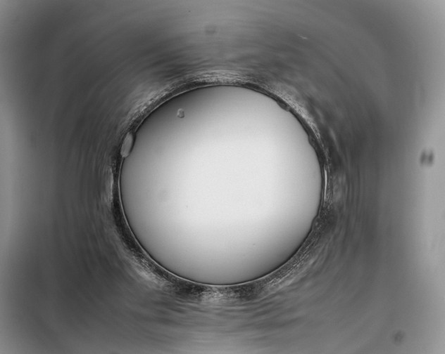 X0000097980109200804071135