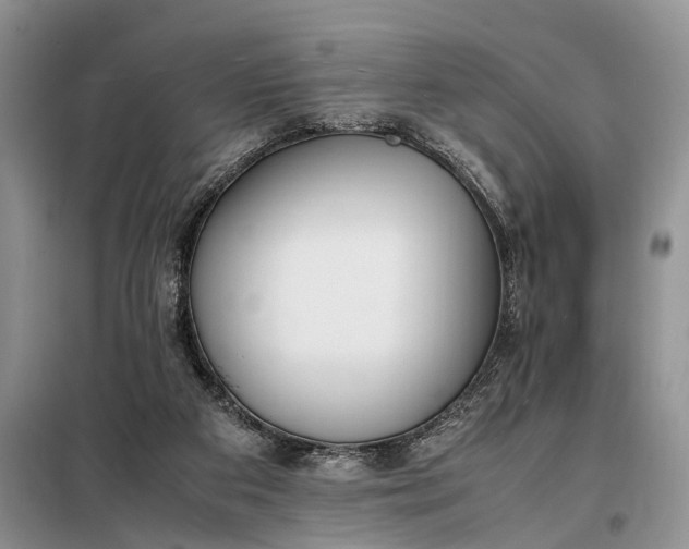 X0000097980113200804071135