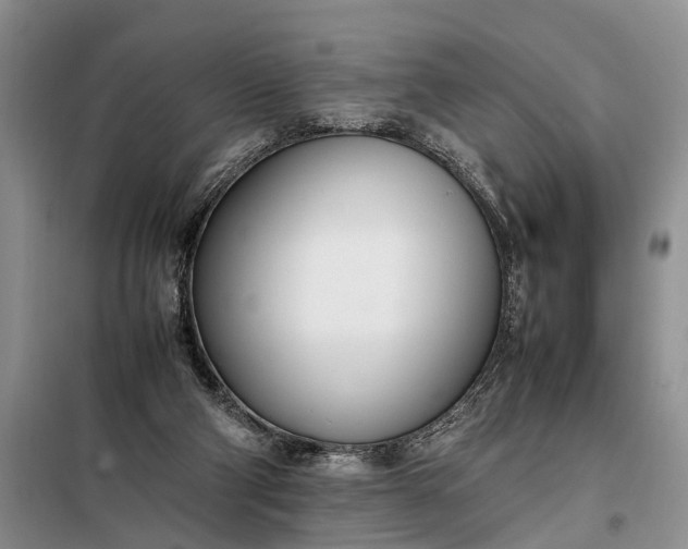 X0000097980114200804071135