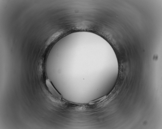 X0000097980116200804071135