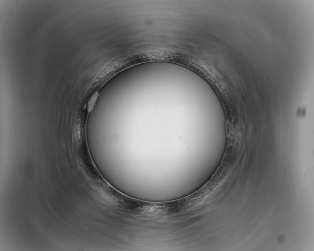 X0000097980117200804071135