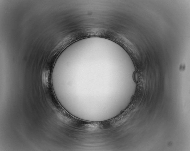 X0000097980118200804071135