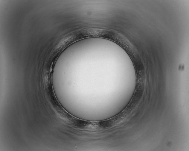 X0000097980119200804071135