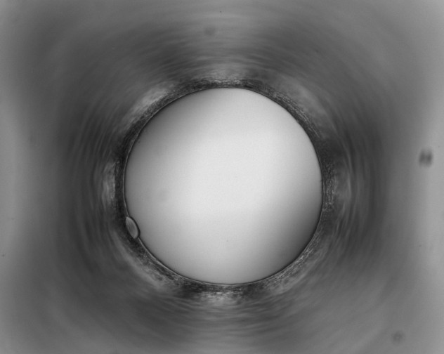 X0000097980120200804071135