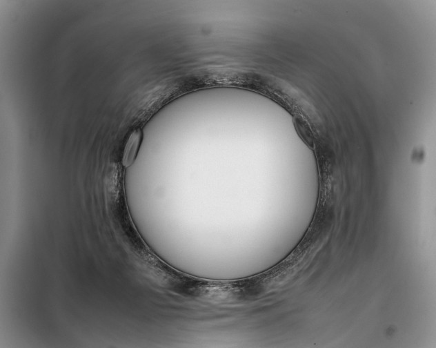 X0000097980121200804071135