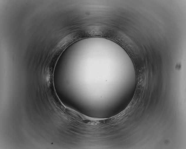 X0000097980124200804071135