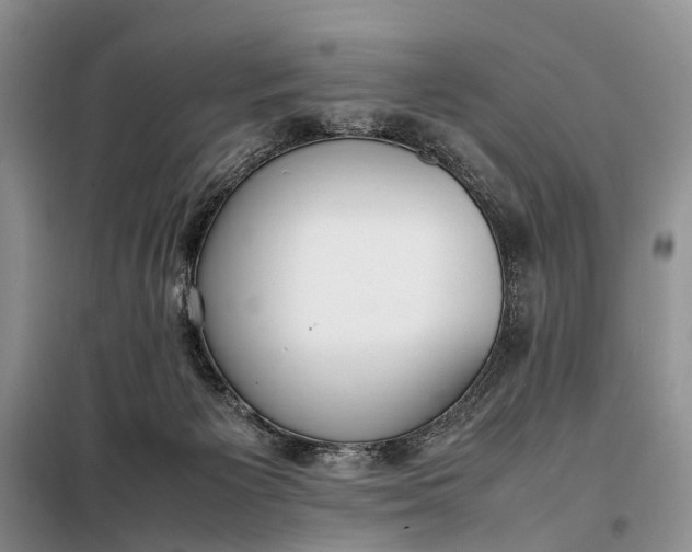 X0000097980125200804071135