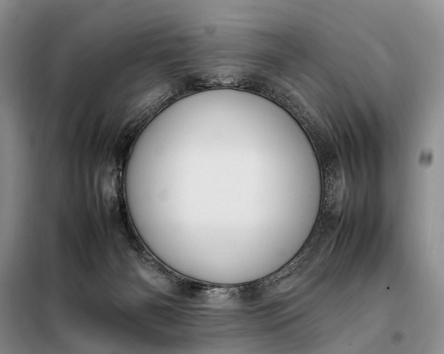 X0000097980126200804071135